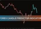Forex Candle Predictor مؤشر